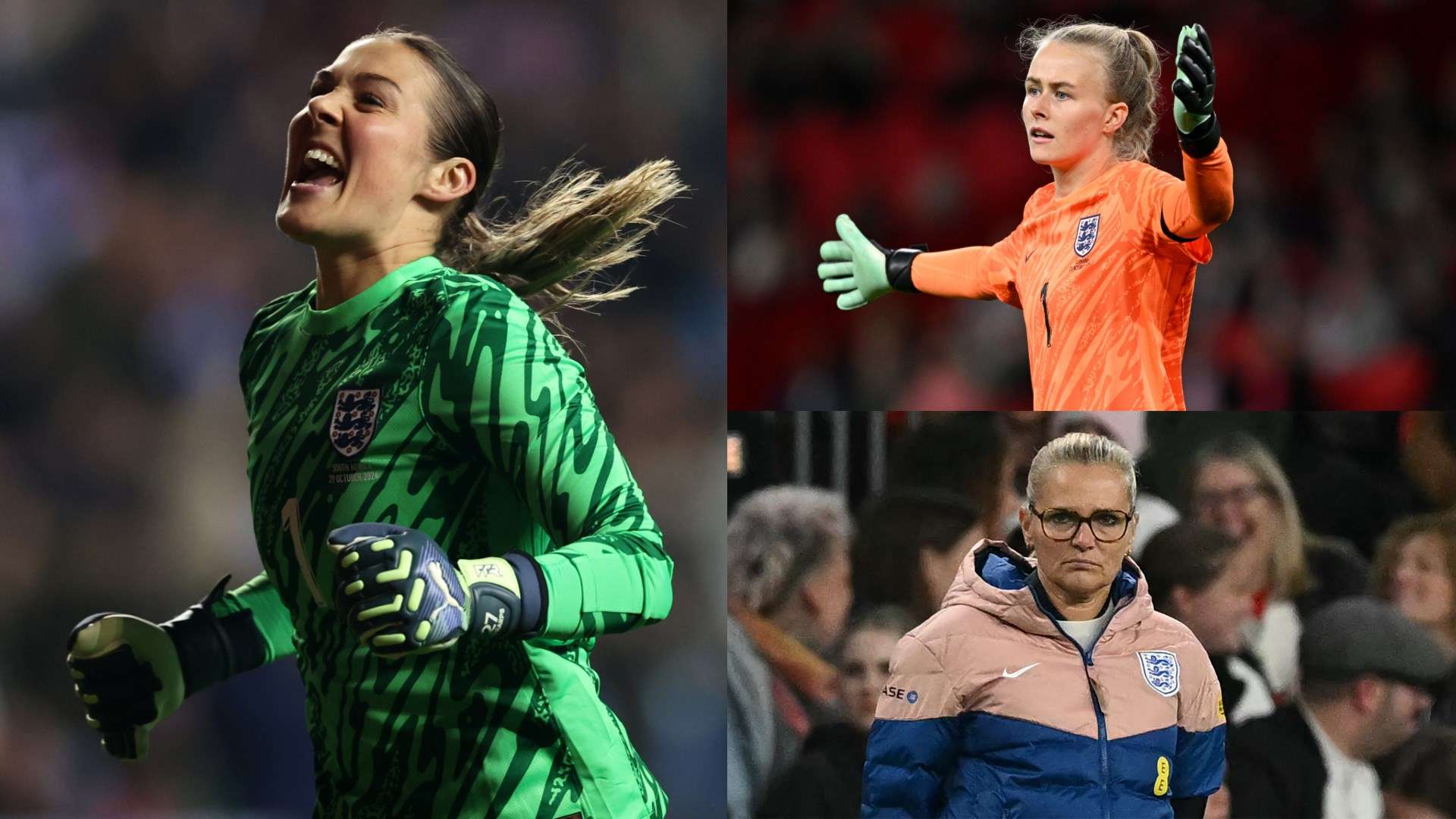 球场上观众 球场上观众